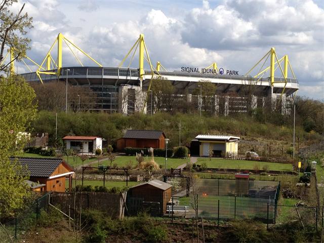 Bittere Niederlage in Dortmund – Foto 2